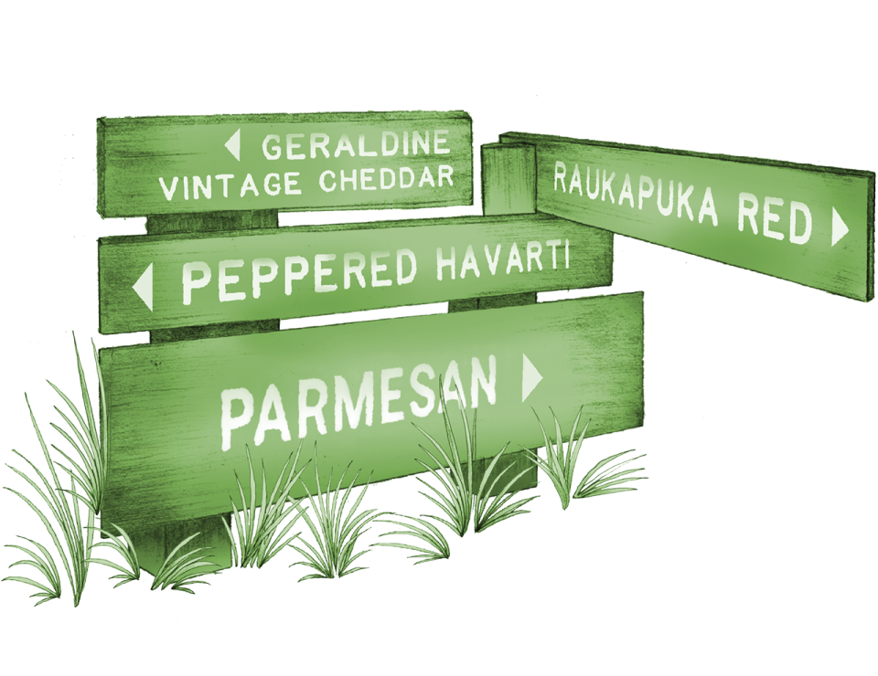 Talbot Forest Cheese